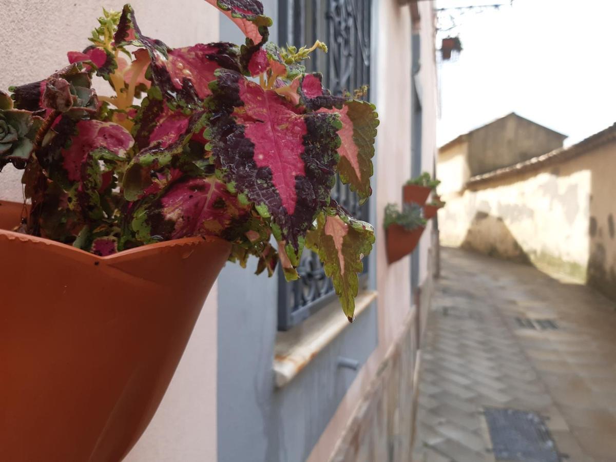 Appartamento Per Turisti Filoxenia Santa Severina ภายนอก รูปภาพ